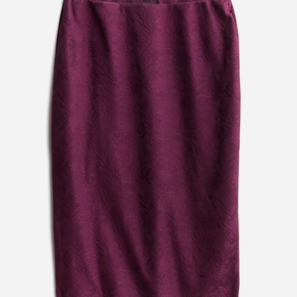 Sonia Lace Pencil Skirt